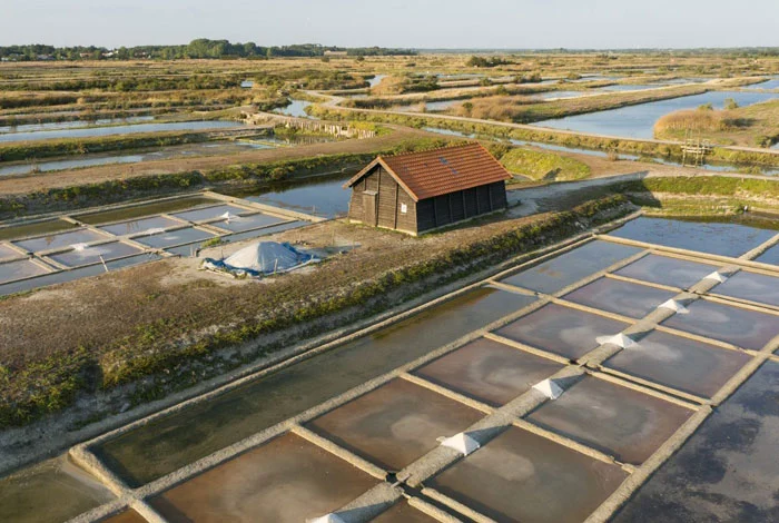  the salt marshes of saint hilaire de riez