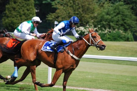 En été, l'hippodrome de Saint Jean de Mont propose de nombreuses animations pour petits et grands !