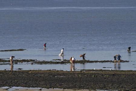 Où pratiquer la pêche à pied en Vendée ? Les bons plans du camping !